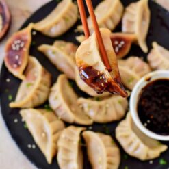 Dumpling Tori Gyoza (Chicken) 10x30 pieces